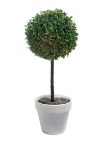 Pianta artificiale