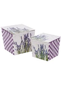 Set 2 cestini Lavanda