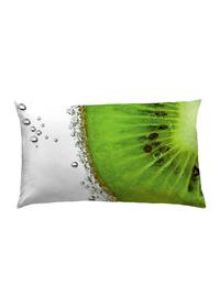 Federa Kiwi