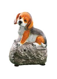 Cagnolino con sensore