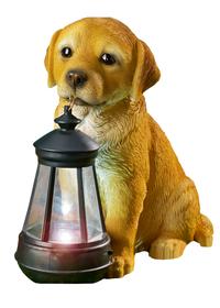 Cagnolino con lanterna solare